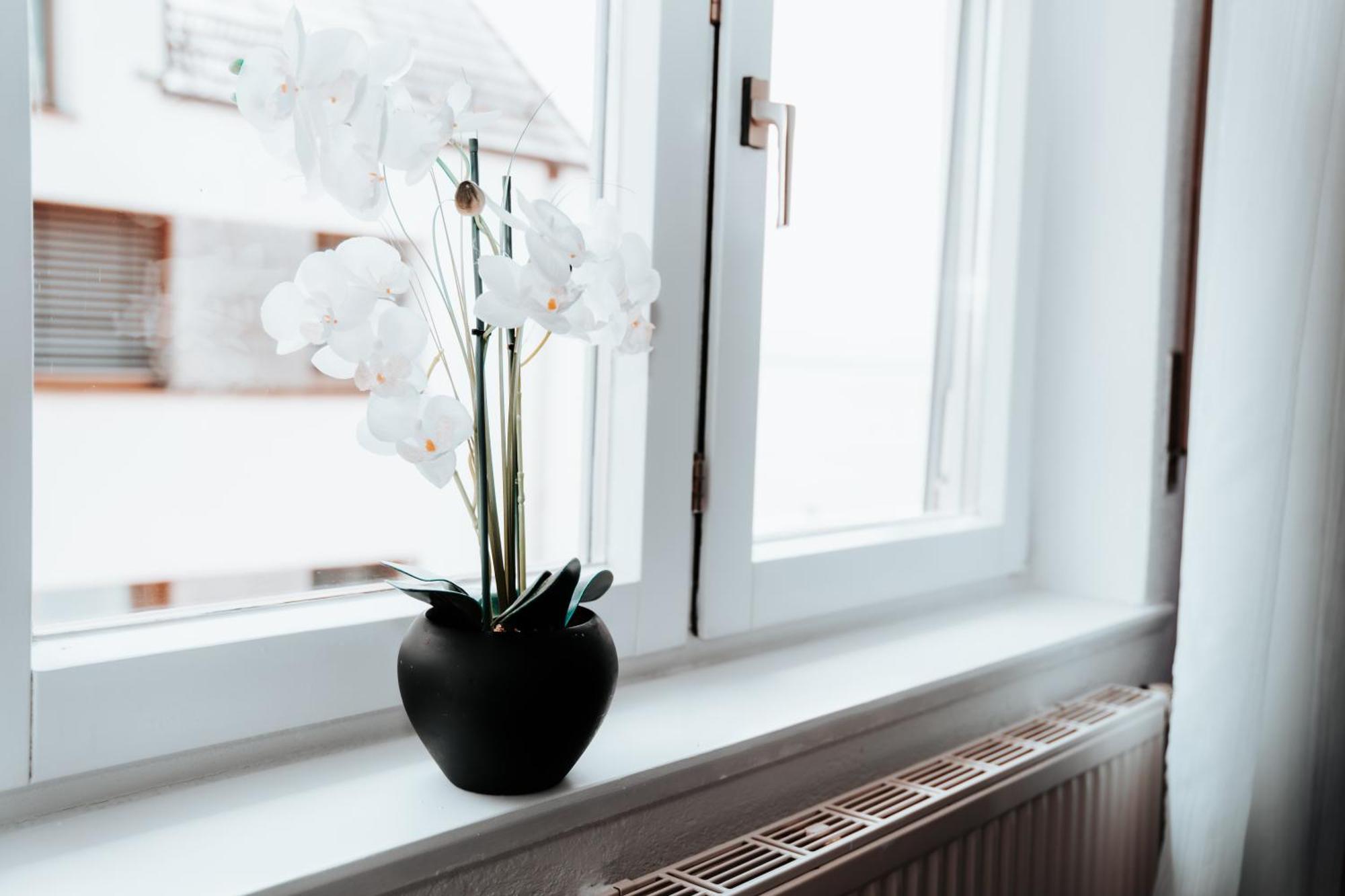 Ferienwohnung Ella - Direkt Am Bodensee Фридрихсхафен Екстериор снимка